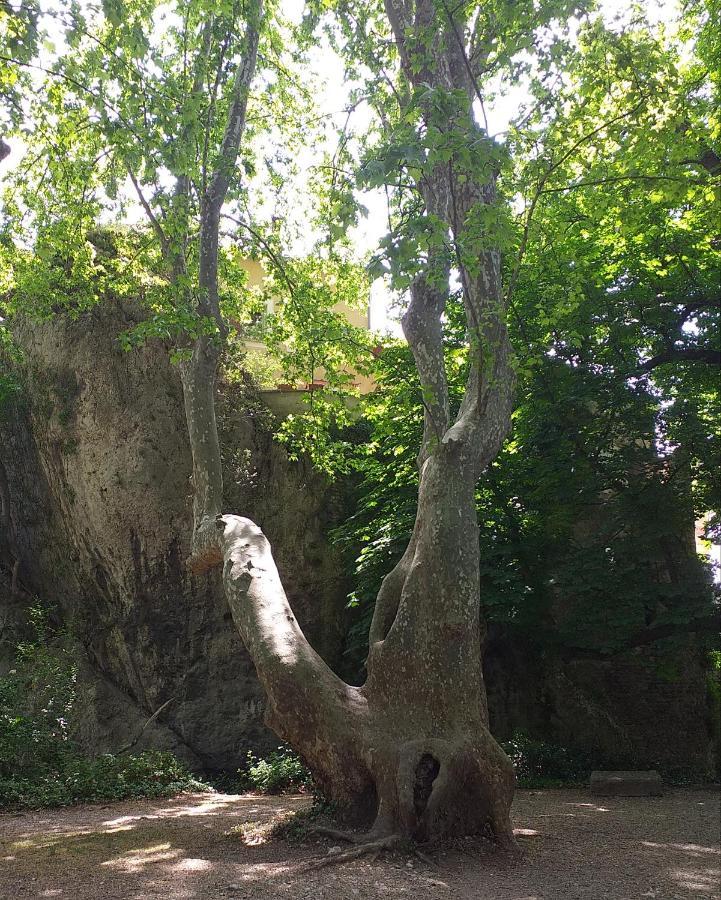 maison au coeur de Fontaine de Vaucluse, nichée sur le rocher et surplombant la sorgue Esterno foto