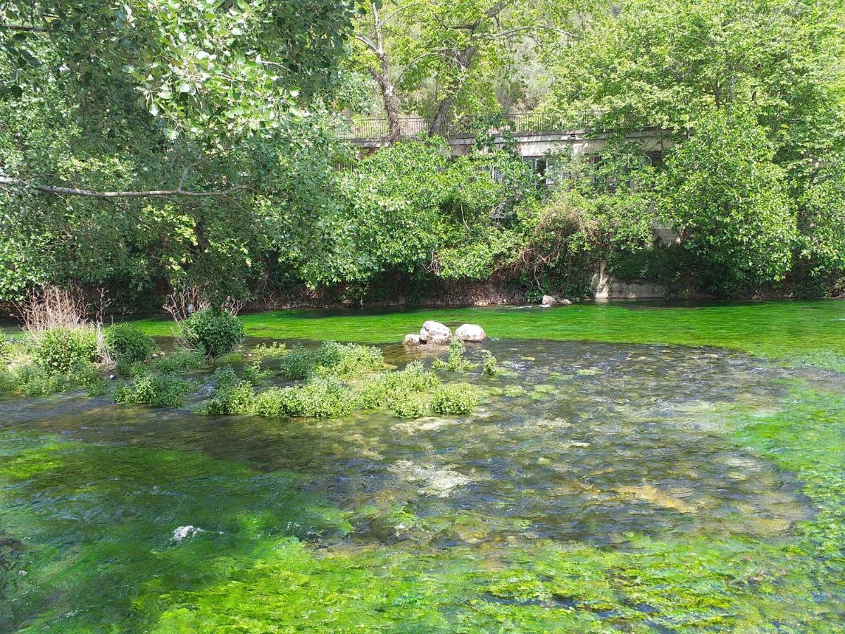 maison au coeur de Fontaine de Vaucluse, nichée sur le rocher et surplombant la sorgue Esterno foto